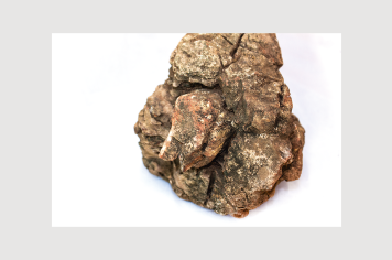 Foto - 9 - Rochas e fósseis PT.1