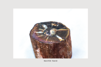 Foto - 10 - Rochas e fósseis PT. 2