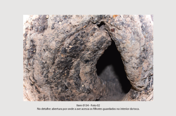 Foto - 10 - Rochas e fósseis PT. 2