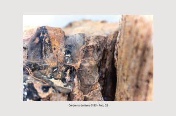 Foto - 10 - Rochas e fósseis PT. 2