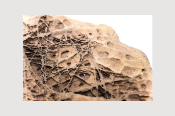 Foto - 9 - Rochas e fósseis PT.1