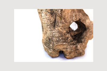 Foto - 9 - Rochas e fósseis PT.1