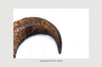 Foto - 8 - Itens de tração animal e acessórios relacionados