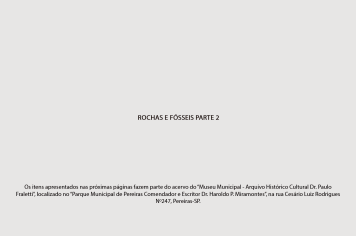 Foto - 10 - Rochas e fósseis PT. 2