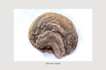 Foto - 10 - Rochas e fósseis PT. 2