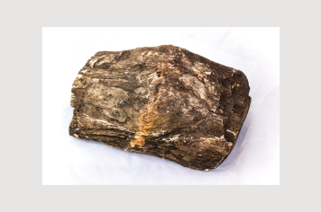 Foto - 9 - Rochas e fósseis PT.1