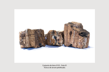 Foto - 10 - Rochas e fósseis PT. 2