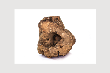 Foto - 9 - Rochas e fósseis PT.1