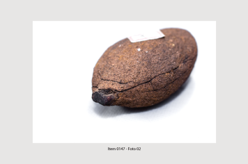 Foto - 10 - Rochas e fósseis PT. 2