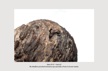 Foto - 10 - Rochas e fósseis PT. 2