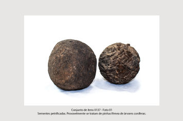 Foto - 10 - Rochas e fósseis PT. 2