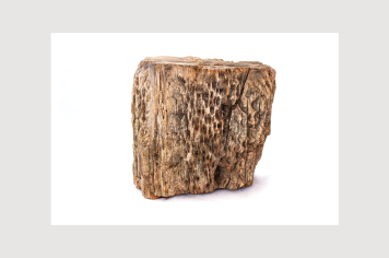 Foto - 9 - Rochas e fósseis PT.1