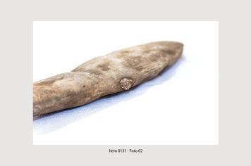 Foto - 10 - Rochas e fósseis PT. 2