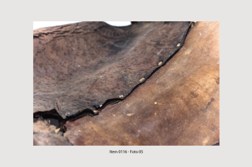 Foto - 8 - Itens de tração animal e acessórios relacionados