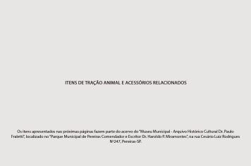 Foto - 8 - Itens de tração animal e acessórios relacionados