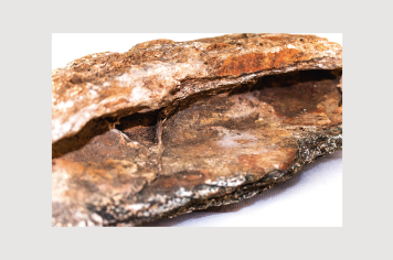 Foto - 9 - Rochas e fósseis PT.1