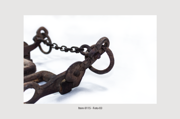 Foto - 8 - Itens de tração animal e acessórios relacionados