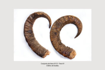 Foto - 8 - Itens de tração animal e acessórios relacionados