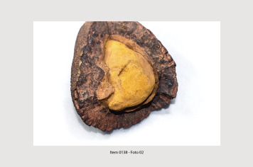 Foto - 10 - Rochas e fósseis PT. 2