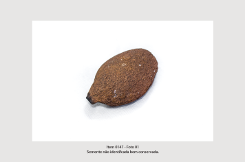 Foto - 10 - Rochas e fósseis PT. 2