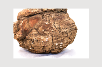 Foto - 9 - Rochas e fósseis PT.1