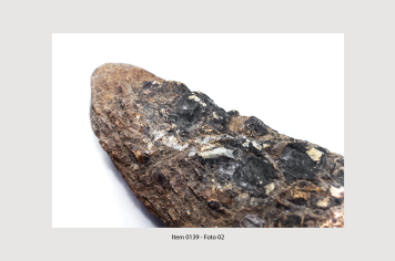 Foto - 10 - Rochas e fósseis PT. 2