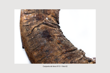 Foto - 8 - Itens de tração animal e acessórios relacionados