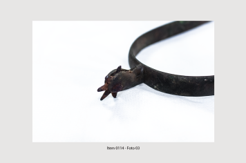 Foto - 8 - Itens de tração animal e acessórios relacionados