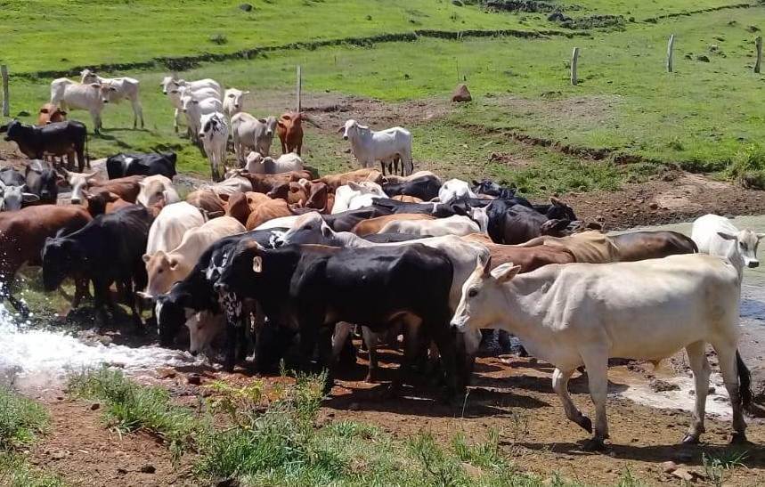 Prefeitura de Aratiba garante assistência a produtor rural diante da estiagem