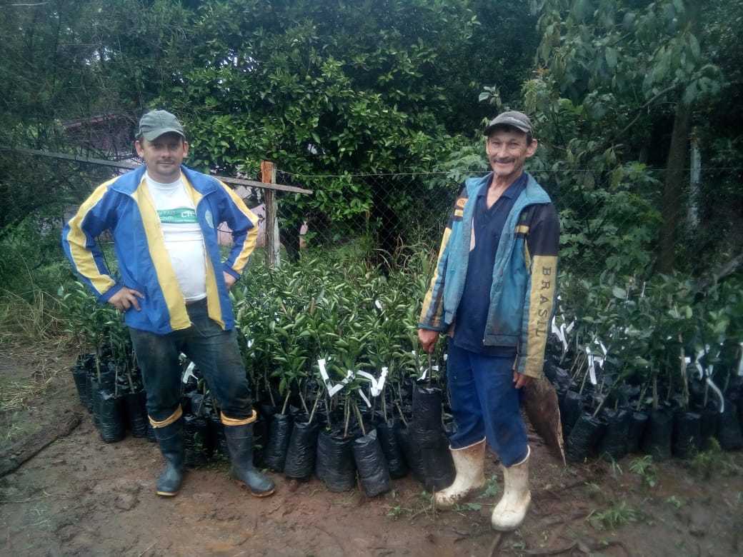 Secretaria de Agricultura realiza entrega de mudas frutíferas em Aratiba