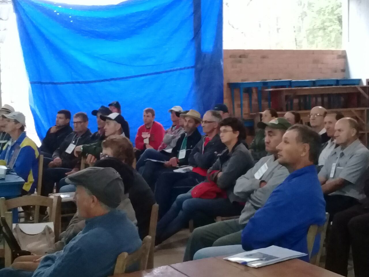 Implantação de pomares e plantio de citros tem aumento e incentivo na região