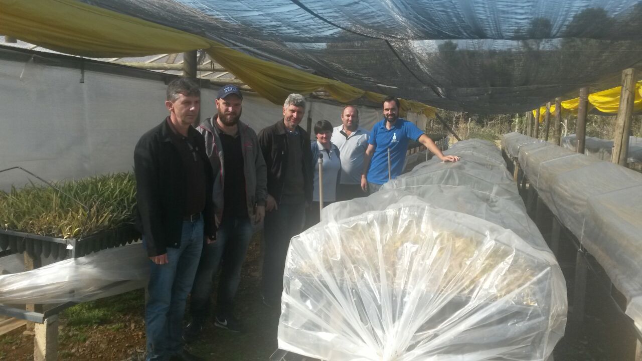 Projeto de Incentivo a Produção e ao Consumo de Alimentos Agroecológicos.