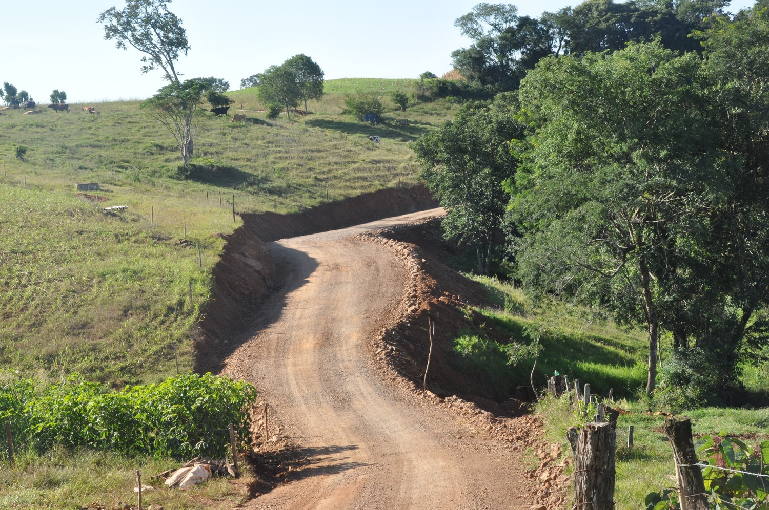 Secretaria de Obras realiza reabertura de estradas