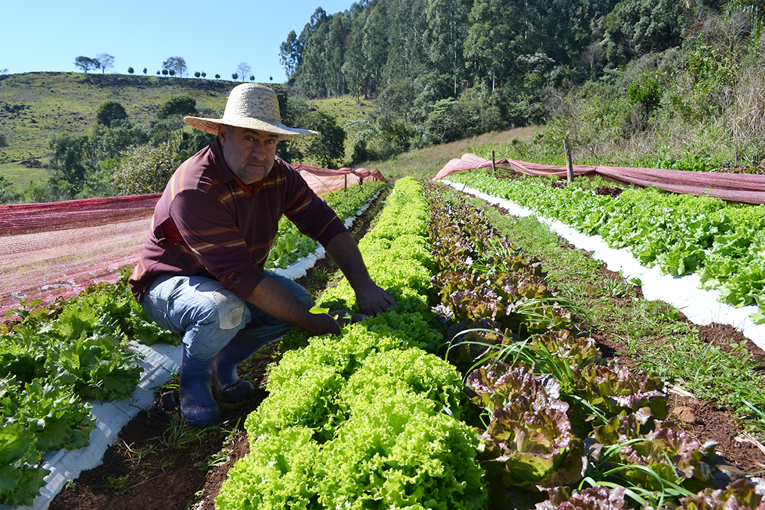 Aratiba lança Projeto de produção de orgânicos