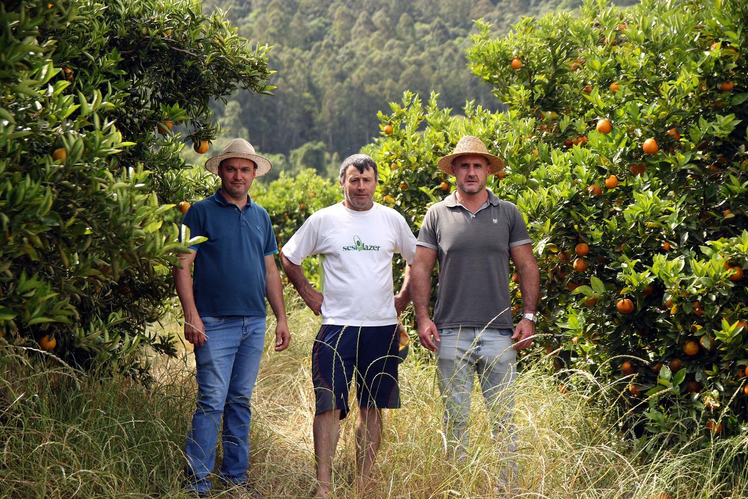 Produção de frutas ganha cada vez mais relevância econômica em Aratiba