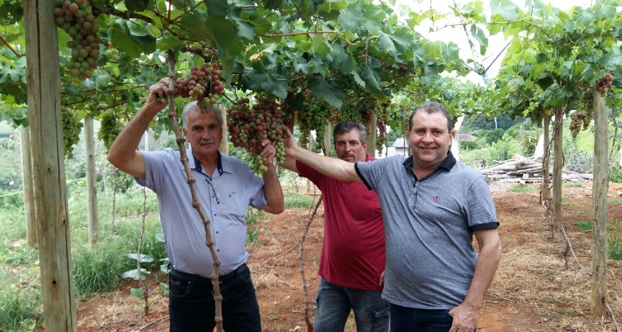 Colhe e pague de Miguel Trentin recebe a visita do Prefeito Granzotto.