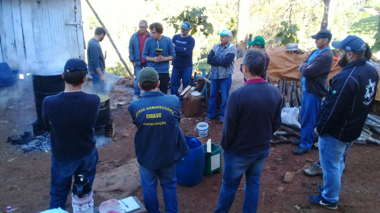 Agroecologia investimento seguro e rentável