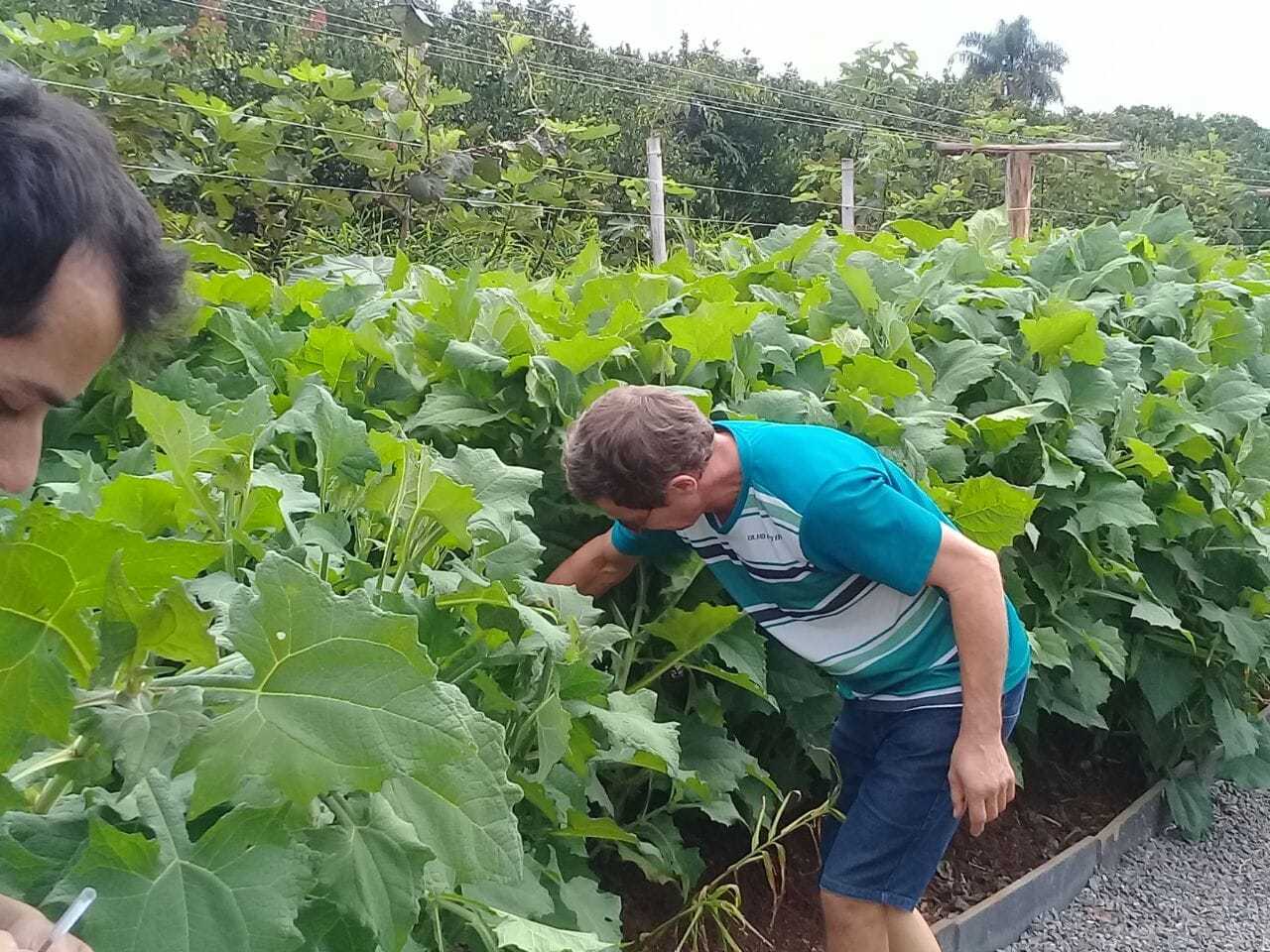 Produtores de Aratiba fazem da agroecologia uma experiência que dá certo.