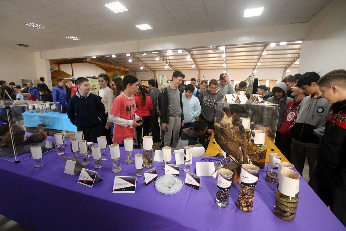 Teatro para estudantes de Aratiba enfatiza cuidados com meio ambiente