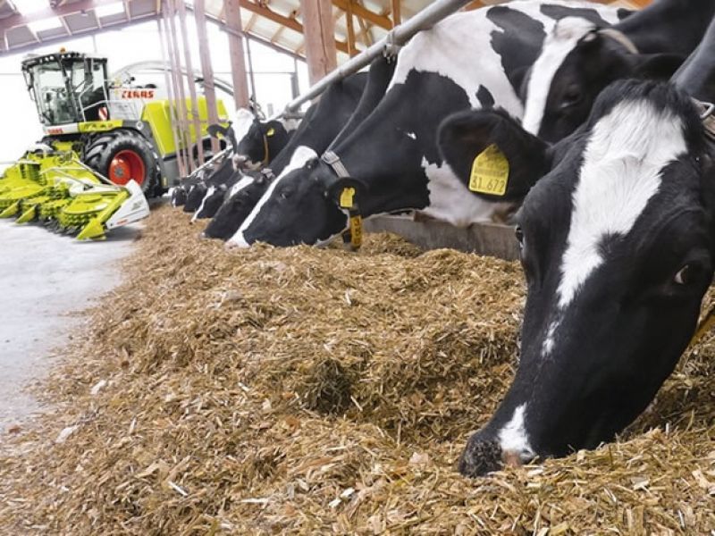 Aratiba intensifica serviço de silagem